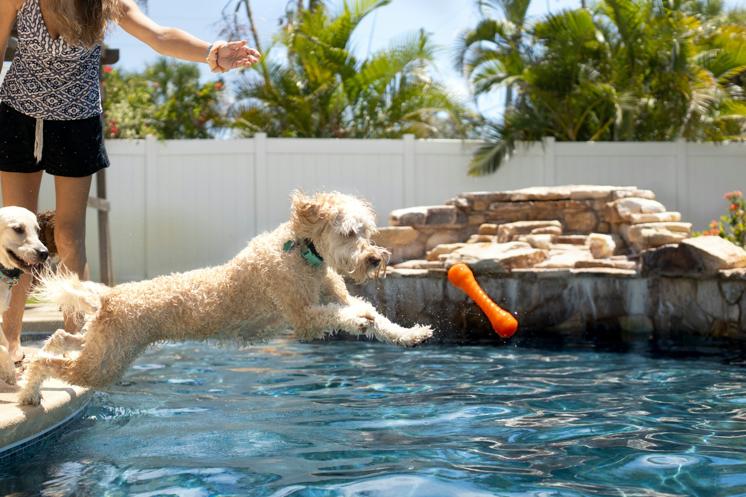 Playing with your pets in the pool